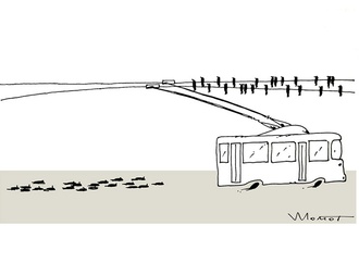ukraine valery momot 9