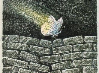 ali divandari