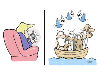 cartoon section126