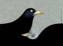 Gallery of Cartoons by zygmunt zaradkiewicz From Poland
