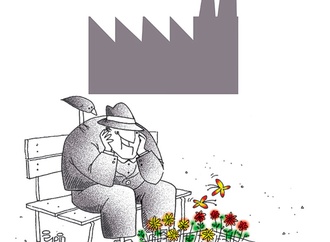 the environment