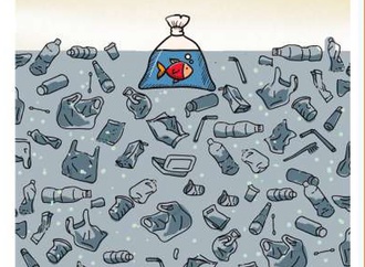 green optimistic indonesia 104