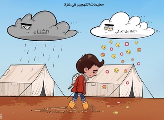 ahmed rahma 29