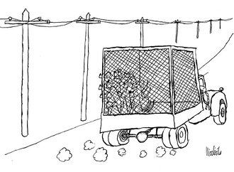 Gallery of Cartoon by Antonio Carlos-Brazil