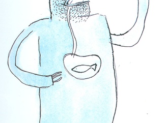 alireza pourhanifeh iran