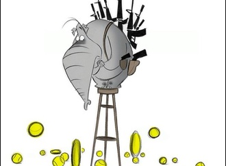ann telnaes sweden 27