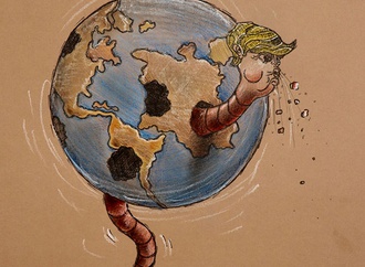 cartoon section527
