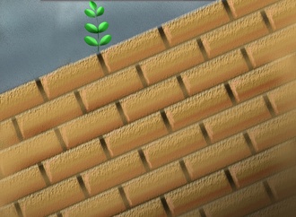 the best cartoon00012