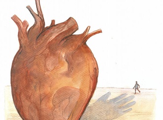 organ donation88