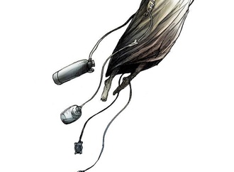 angel boligrn28