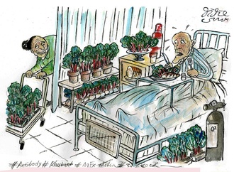 Gallery:6th International Rhubarb Cartoons Contest, Romania 2024