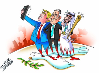 amirhamed pajtar iran2