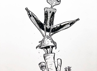skottie young usa 125