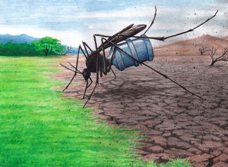 Drought