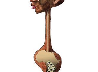 
                                                                                                  Edgar Vargas Avila - Venezuela