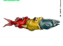 Winners of the Sardine Cartoon Contest-Portugal 2021