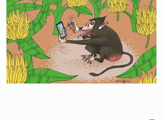 Gallery of the 28th Calcomix International Festival-Colombia 2021