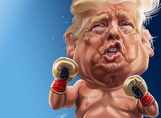 caricature section 107