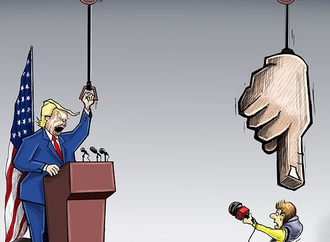 cartoon section61