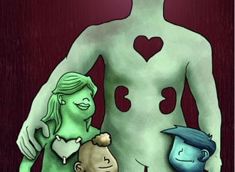 organ donation75