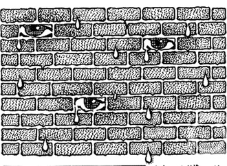 vladimir semerenko russia 9