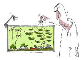 valery momot poland 12