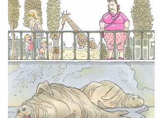 mauro talarico italy6