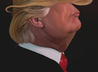 caricature section 30