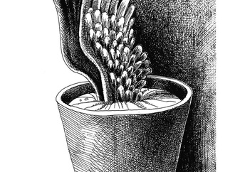 mohsen nourinajafi iran8