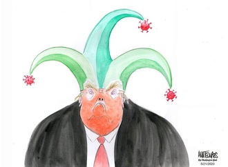 ann telnaes sweden 4