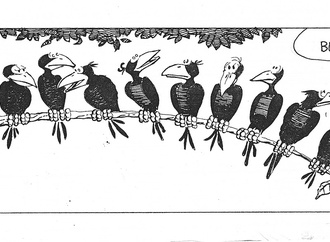 cezmi ermis turkey 20