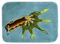 Gallery of the Best World Cartoon-Part 968