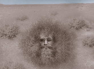 abbas mohammadi iran 2