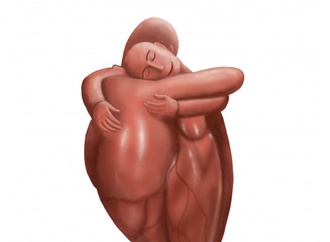 organ donation24