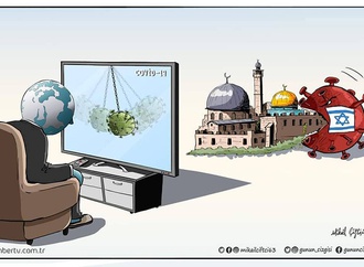mikail coiftcoi turkey10