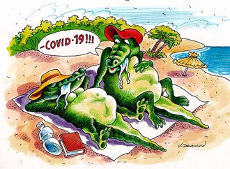 Gallery of Cartoons by Valentin Druzhinin-Russia