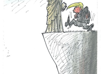 cartoon section569