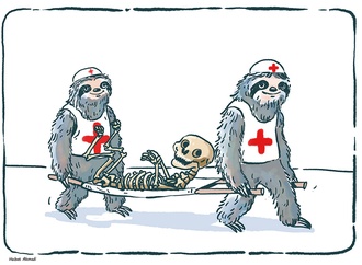 heibat ahmadi iran 2