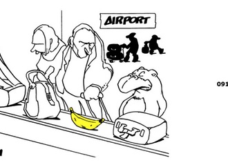 animal contest23