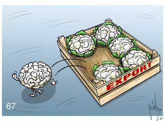 export