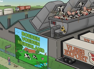 tjeerd royaards7