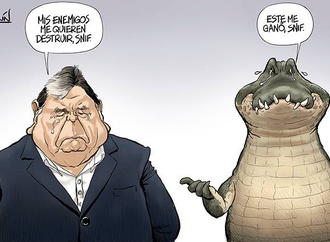 
                                                                                                  Mechain Doroteo Guerra - Peru