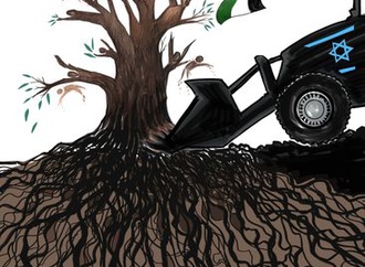 RESISTANCE: ROOTS & RIGHTS