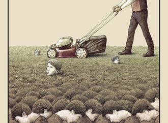 pawel kuczynski8