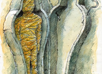 liviu stanila6