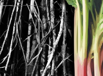 Gallery:6th International Rhubarb Cartoons Contest, Romania 2024