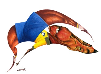 luiz carlos fernandes23