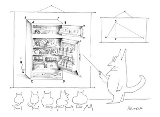 saul steinberg b