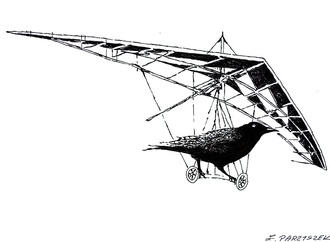 ireneusz parzyszek poland 119