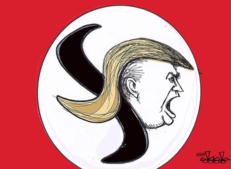 cartoon section239